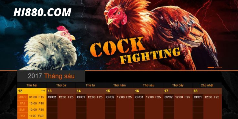 Kinh nghiệm chơi gà đá bỏ túi từ chuyên gia